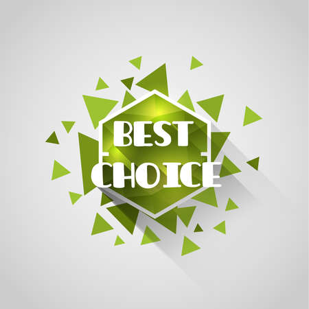 best choice green polygonal crystal tag with abstract triangle elementsのイラスト素材
