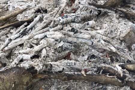Close up, Campfire Ashes