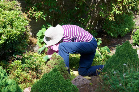 Senior elderly person active lifestyle in garden during summerの写真素材