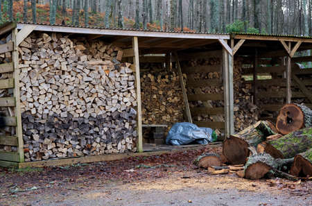 Chopped wood logs for sale use in fire place at home stored on forest woods green biomass energy