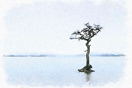 Milarrochy Bay lone tree in Loch Lomond Scotlandの写真素材