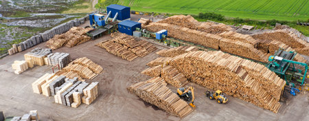 Sawmill with chopped wood logs stacked and machineryの写真素材
