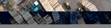 Sawmill with chopped wood logs stacked and machinery