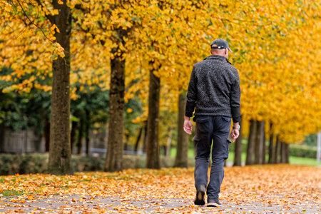 Senior elderly man walking in autumn woodland sceneの写真素材