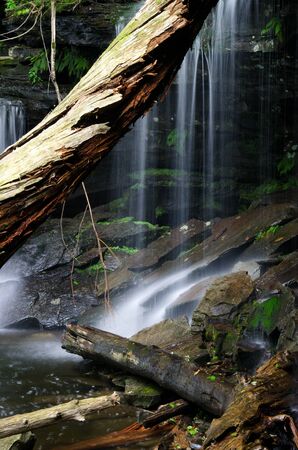 Private Waterfall Deep in the Forestの写真素材