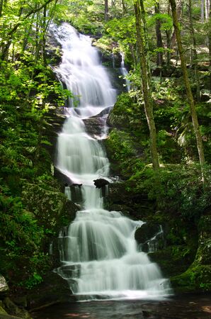 Waterfall in the Forestの写真素材