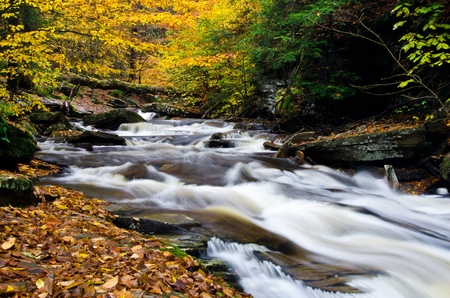 Cascade Deep in the Autumn Forest