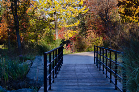 Footbridge on the Autumn Trailの写真素材