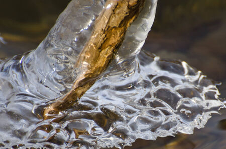 Nature Abstract - Encased in Iceの写真素材