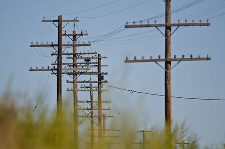 Utility Poles Standing in the Desert