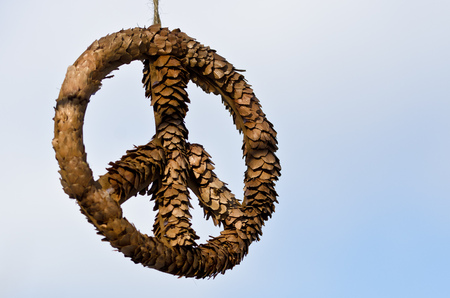 Frozen Peace Sign Against a Light Backgroundの写真素材