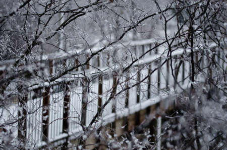 Snow Covered Footbridge Hidden Behind the Frozen Branches