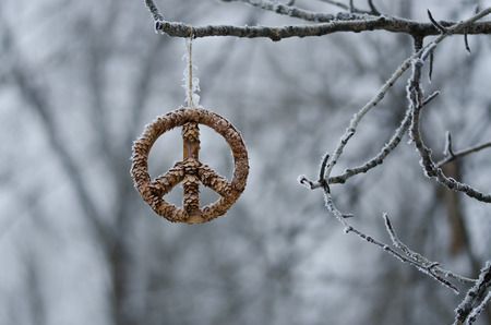 Frozen Peace Sign Hanging Alone in the Winter Forest