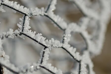 Nature Abstract: Wire Fencing Frost Covered and Freezing in Winterの写真素材