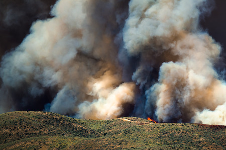 Flames and Dense White Smoke Rising from the Raging Wildfireの写真素材