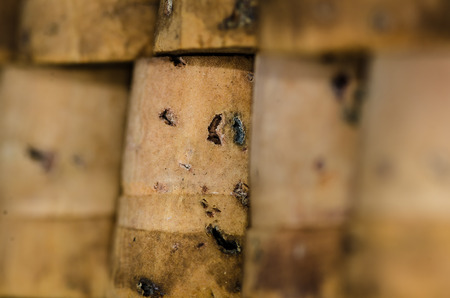 Inverted Vial Corks Standing in a Rowの写真素材