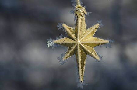 Golden Frost Covered Christmas Star Decorating an Outdoor Treeの写真素材