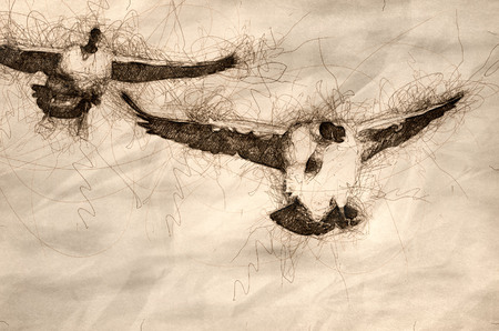 Sketch of Canada Geese Landing On The Still Blue Pond Waterの写真素材