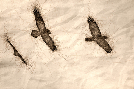 Sketch of Three Common Black Ravens Flying in a Blue Skyの写真素材