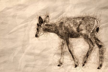 Sketch of a Young Buck Deer Walking Across the Open Fieldの写真素材