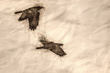 Sketch of Two Common Black Ravens Flying Over the Canyon Floorの写真素材