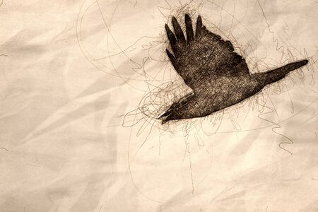 Sketch of a Common Black Raven Flying in a Blue Skyの写真素材