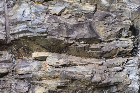 Nature Abstract: Pattern Created by Cracks and Crevices in a Solid Rock Wall