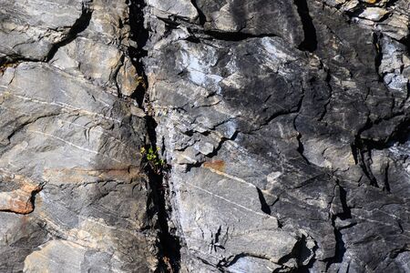 Nature Abstract: Pattern Created by Cracks and Crevices in a Solid Rock Wall