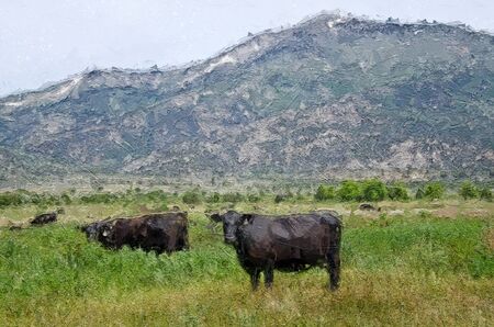 Impressionistic Style Artwork of Herd of Cattle Relaxing in the Soft Green Mountain Meadowの写真素材