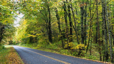 Roadway Meandering Through the Autumn Appalachian Mountains Along the Blue Ridge Parkway