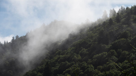 Foggy Morning in the Valleys of the Appalachian Mountains View from The Blue Ridge Parkwayの写真素材