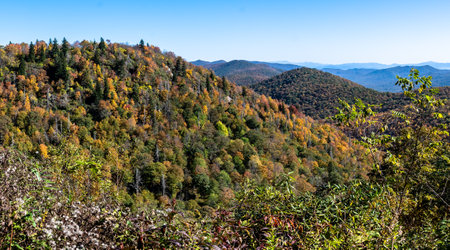 Autumn in the Appalachian Mountains Viewed Along the Blue Ridge Parkwayの素材