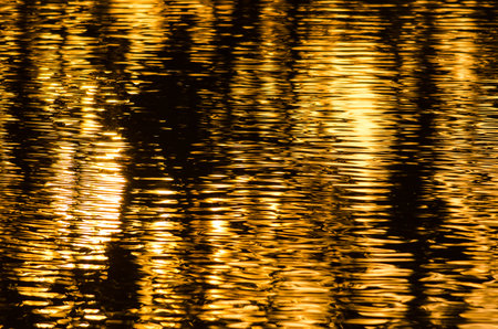 Nature Abstract: Golden Rippled Reflections in the Sunset Lit Pondの写真素材