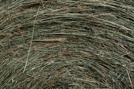 Abstract â A Close Look at the Side of a Hay Rollの写真素材