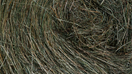 Abstract â A Close Look at the Side of a Hay Rollの写真素材
