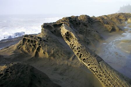 Coastal rocks that have been carved by mollusks and erosion.の写真素材