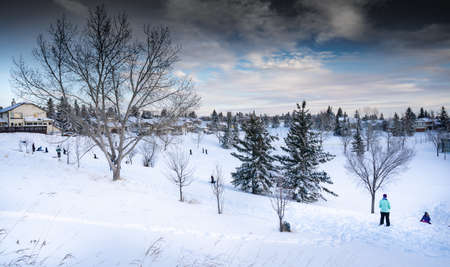 Calgary Alberta Canada, February 01 2021: Families riding sleds outdoors at a tobogganing hill in Scenic Acres Park during the winter.のeditorial素材