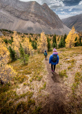 A young family with children hiking through larch trees in fall colours in the Canadian Rocky Mountains.の写真素材