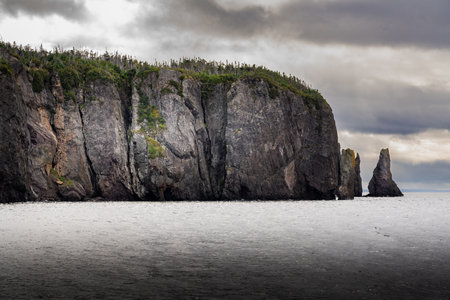 High rocky cliff overlooking the Atlantic ocean near Trinity Newfoundland along the Skerwink Hiking Trail.の写真素材