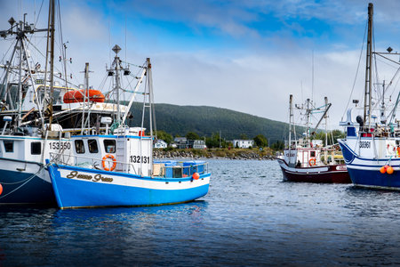 Heart's Content Newfoundland Canada, September 25 2022: Fishing boats moored on docks at a small Atlantic fishing community in the maritimes.のeditorial素材