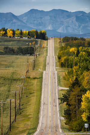 Rural road lined with telephone poles and autumn trees in fall colours with Canadian Rocky Mountains at background in Rocky View County Alberta Canada.の写真素材