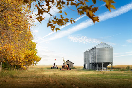 Storage bins and grain augers in a farmyard after fall harvest on the Canadian prairies in Kneehill County Alberta Canada.の写真素材