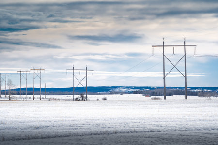 Line of large wooden power poles holding transmission lines across snow covered agriculture fields...