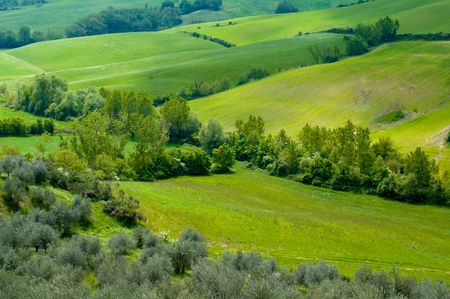 Rural countryside landscape in Tuscany region of Italy.の写真素材