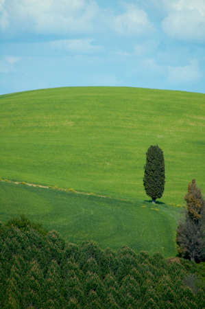 Rural countryside landscape in Tuscany region of Italy.の写真素材