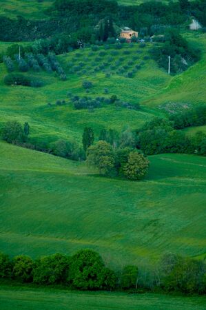 Rural countryside landscape in Tuscany region of Italy.の写真素材
