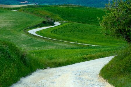 Winding gravel road in Tuscany region of Italy.の写真素材