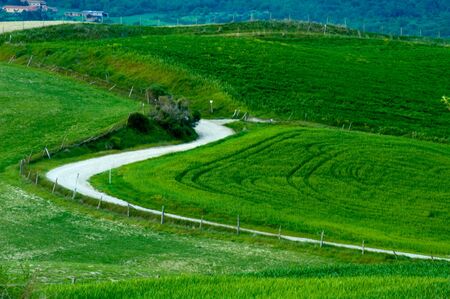 Winding gravel road in Tuscany region of Italy.の写真素材