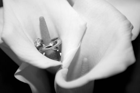 Calla lily with wedding ringsの写真素材