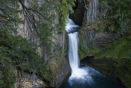 Toketee Falls, near Roseberg, Oregon. The falls comes down between columnar basalt.の写真素材